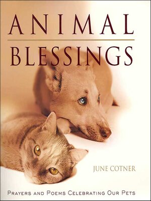 cover image of Animal Blessings